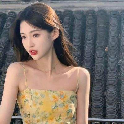 敢问猫在何方破解版下载